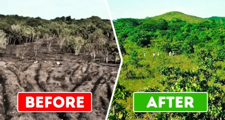 Fruit waste by miracle saved deforested land recyclation